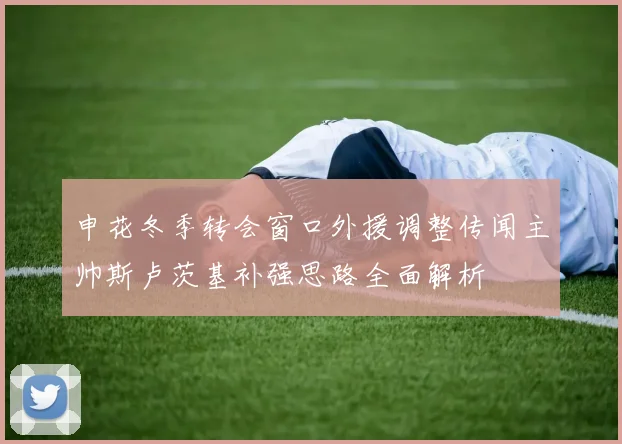 申花冬季转会窗口外援调整传闻主帅斯卢茨基补强思路全面解析